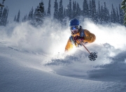 开云体育app-新王当立，皮亚斯特里领衔哈斯史诗逆转，终结雷诺时代