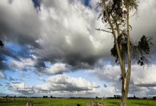 开云在线赛事平台-绿茵场上的双重焦点，西甲国家德比的火花与非洲杯埃及强压喀麦隆的较量