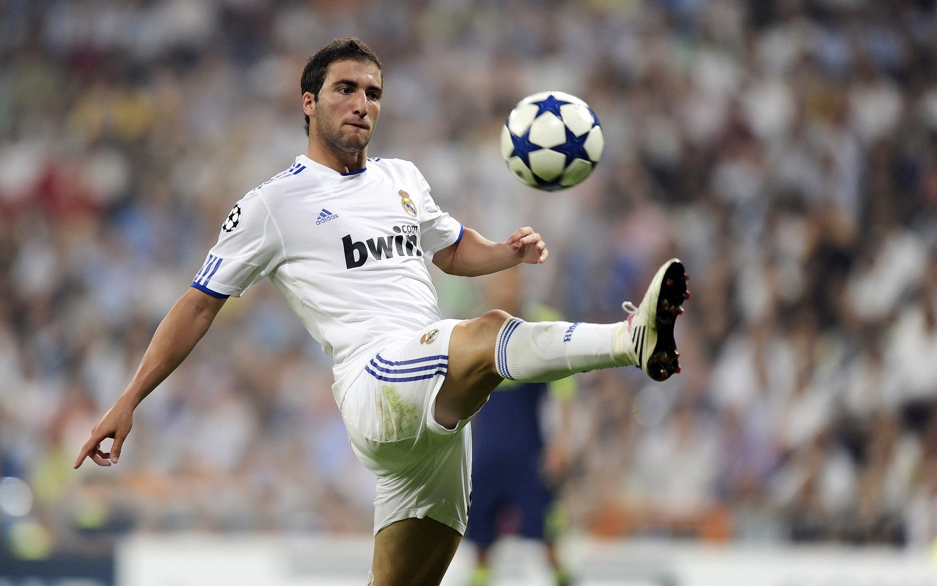 绿茵与硬木的双重奏，当意甲焦点战遇见凯尔特人的生死逆袭