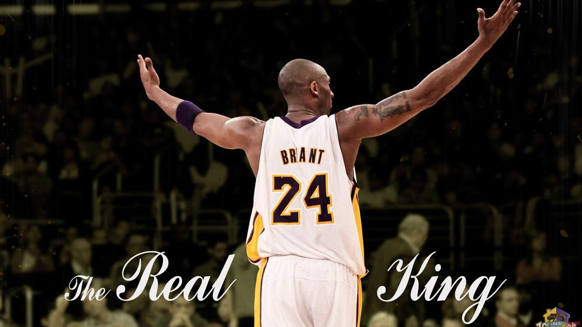 蒙特卡洛红土上的法网绝杀，穆雷如何用一场胜利刷新历史认知